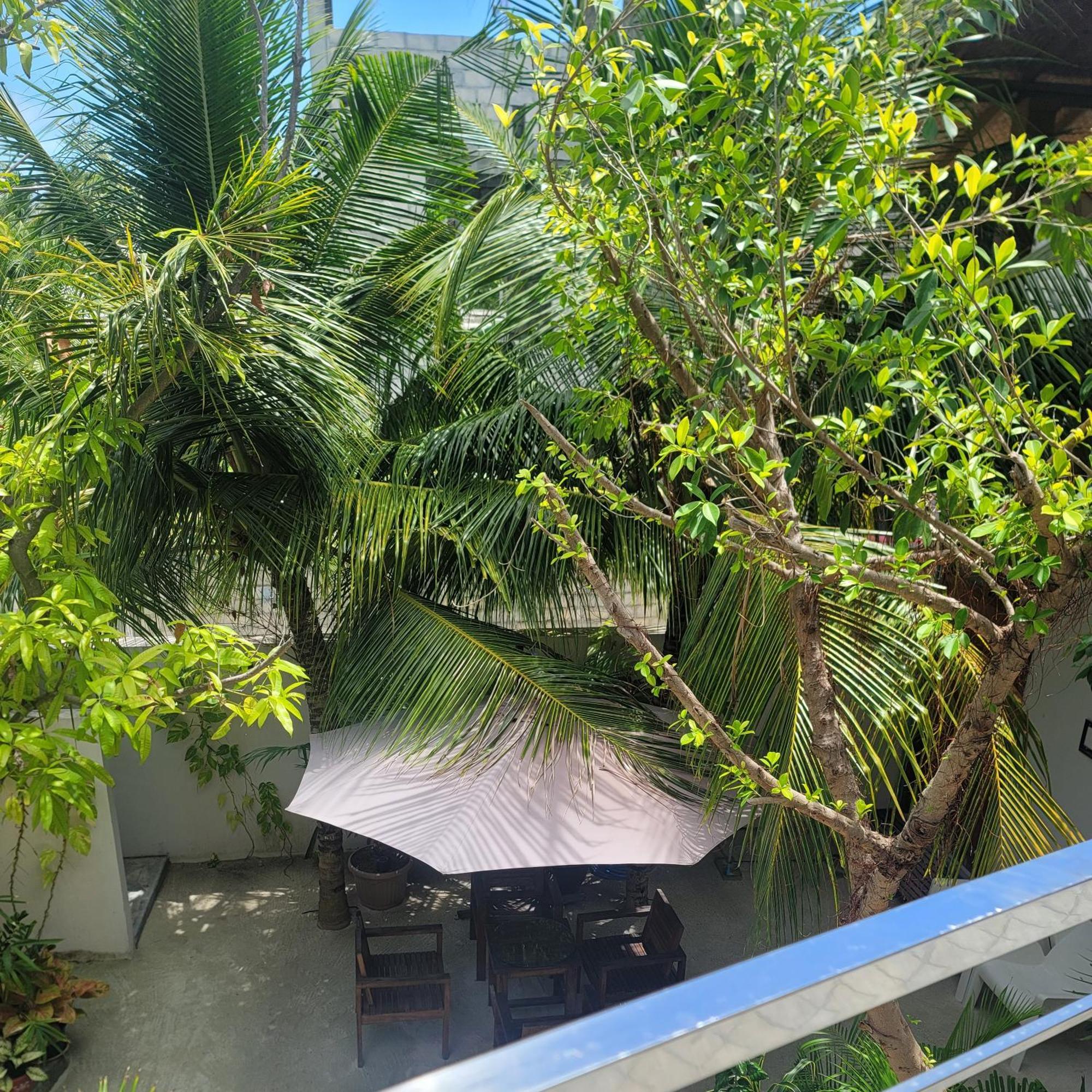 Palm Residence Rasdhoo Δωμάτιο φωτογραφία